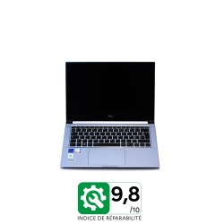 Portable why! Iris NV41MZ 14''