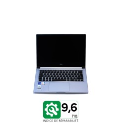 Portable why! Iris NV41MZ-i5 14''