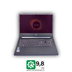 Portable why! Ryzen NH57ADS 15.6''