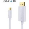 Câble DisplayPort-USB-C 1m