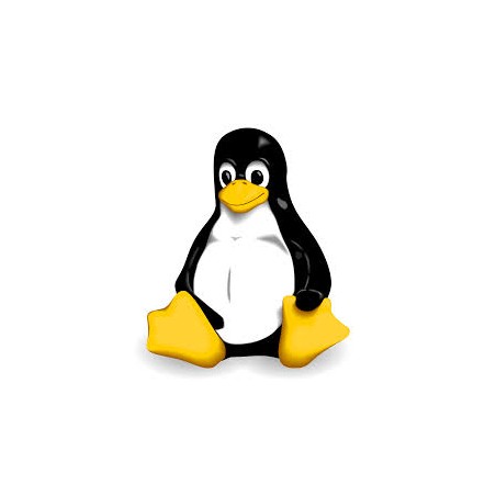 Vollständige Migration zu Linux