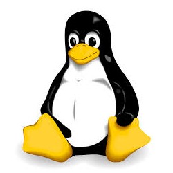 Linux installieren