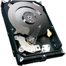 HDD WD Blue 3.5'' SATAIII 1 TB