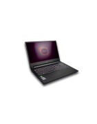Laptops